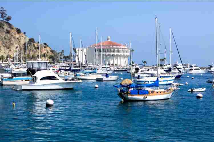 Boats at catalina Island in california