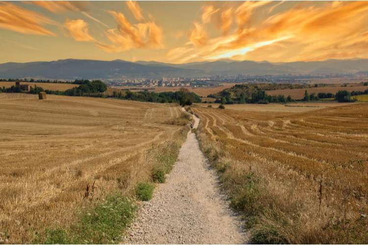The Camino de Santiago trail