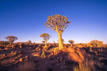 Namibia Archive