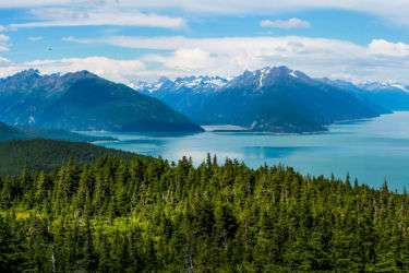 A turquoise alpine lake surrounded by forest and snow capped mountains