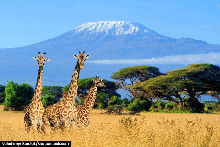 Mount Kilimanjaro in Tanzania