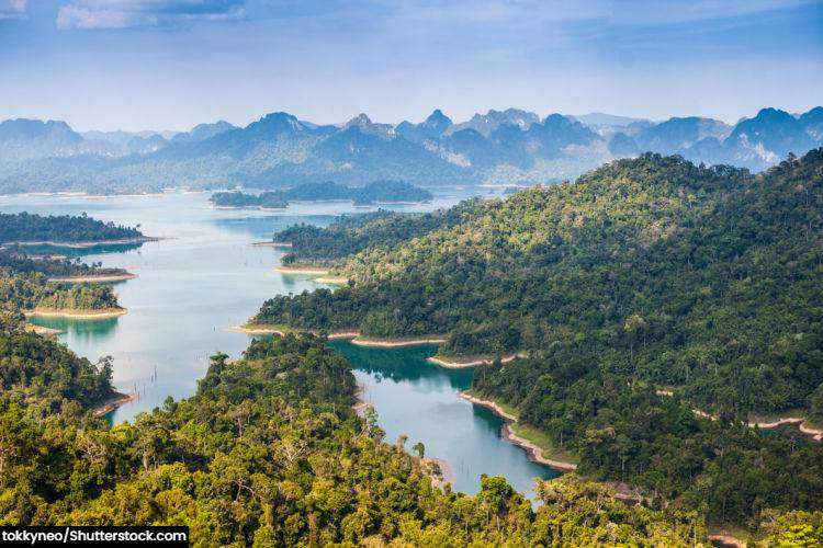 The jungle of Khao Sok National Park Thailand