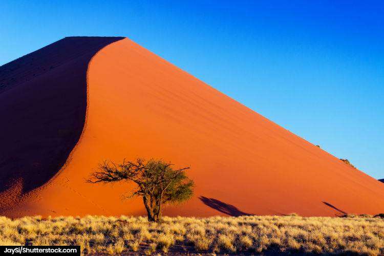 Dune 45 at Sossusvlei National Park, the enormous picture perfect sand dune in namibia