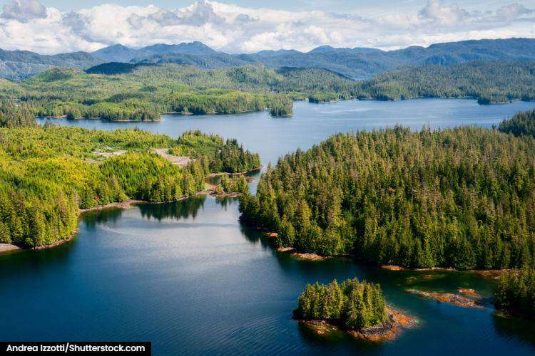 Aerial view of the heavily forest Prince of Wales Island