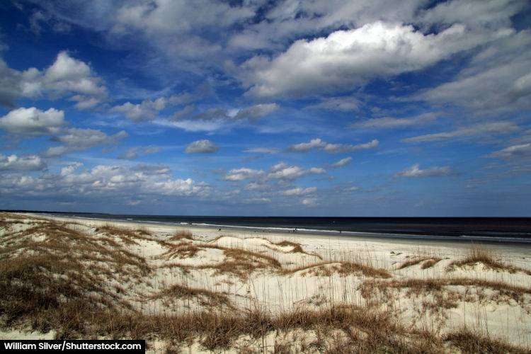 How to get to Cumberland Island Amazing Trip Ideas